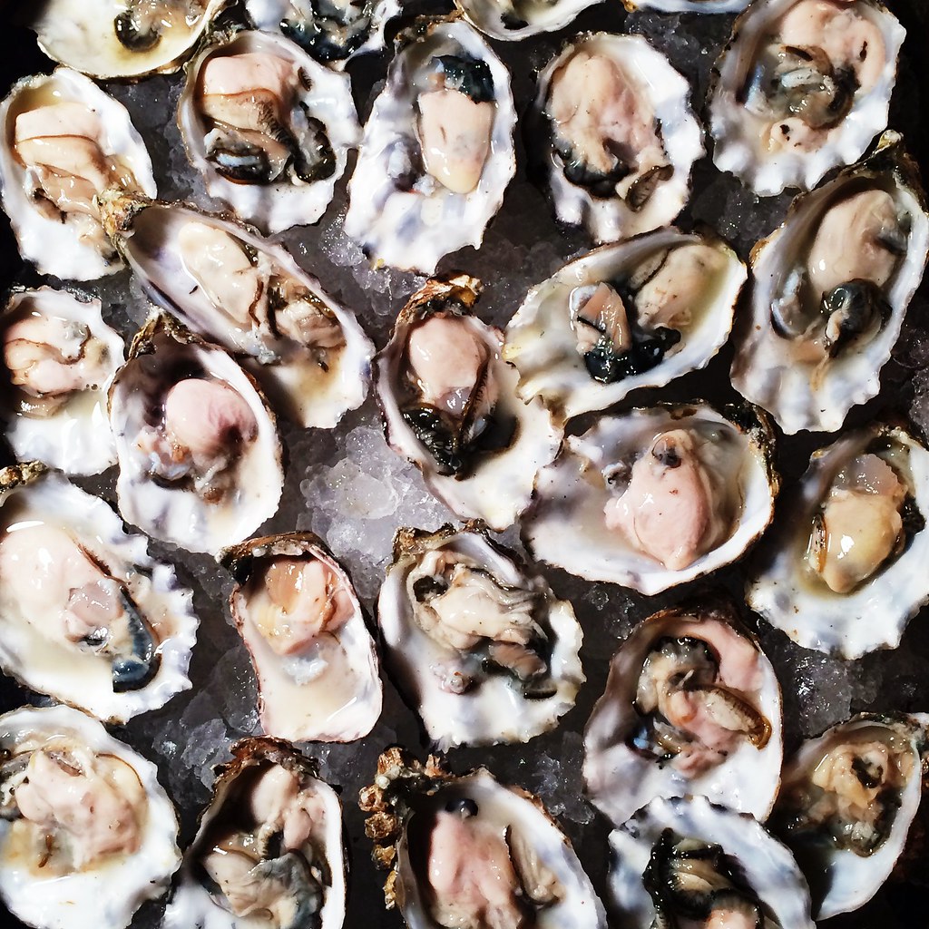 Oysters on the Half Shell from flickr}