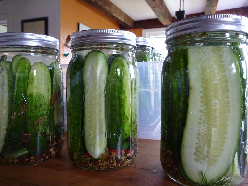 Dill pickles - Filled jars from flickr}